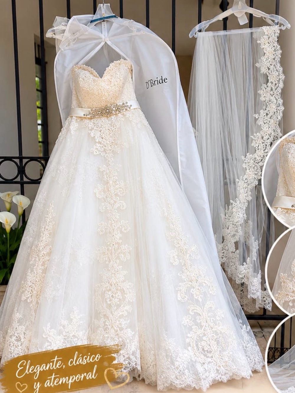 Rosa Clará Ivory and Champagne Lace Ball Gown